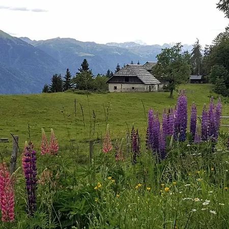 Apartment Panorama Watsjiek *