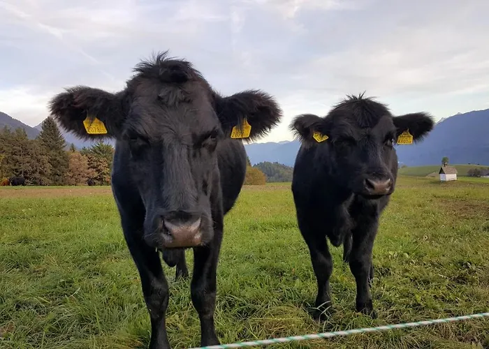 公寓 Panorama Watsjiek